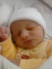 Ludovic CORMONT-VOYEAUD